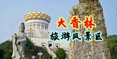 骚逼女人的黄色视频中国浙江-绍兴大香林旅游风景区